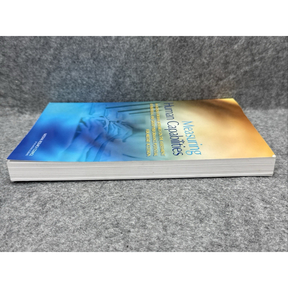 Measuring Human Capabilities : An Agenda for Basic Research on the Assessment of