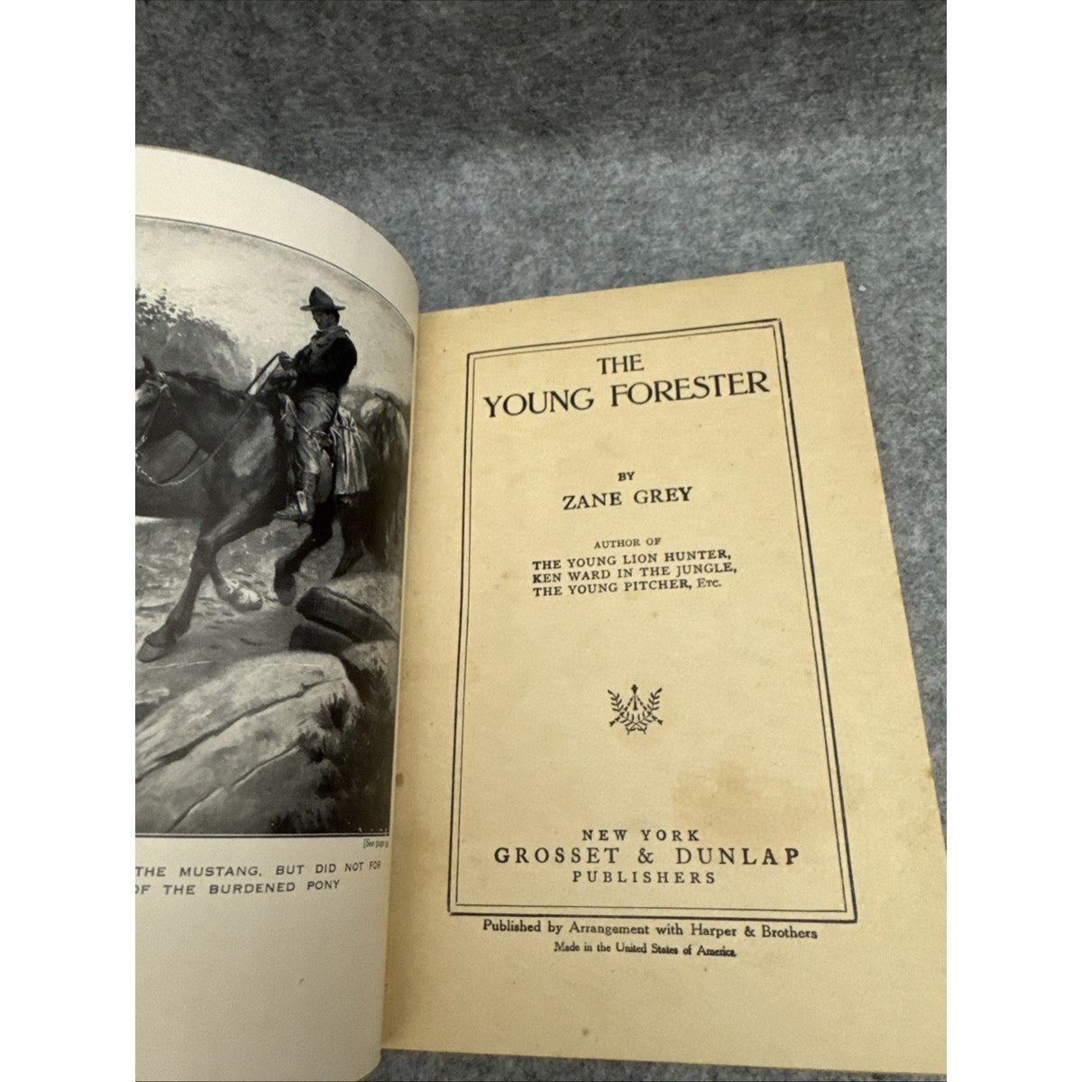Zane Grey THE YOUNG FORESTER Book 1st Edition 1st Printing HC DJ 1910 First