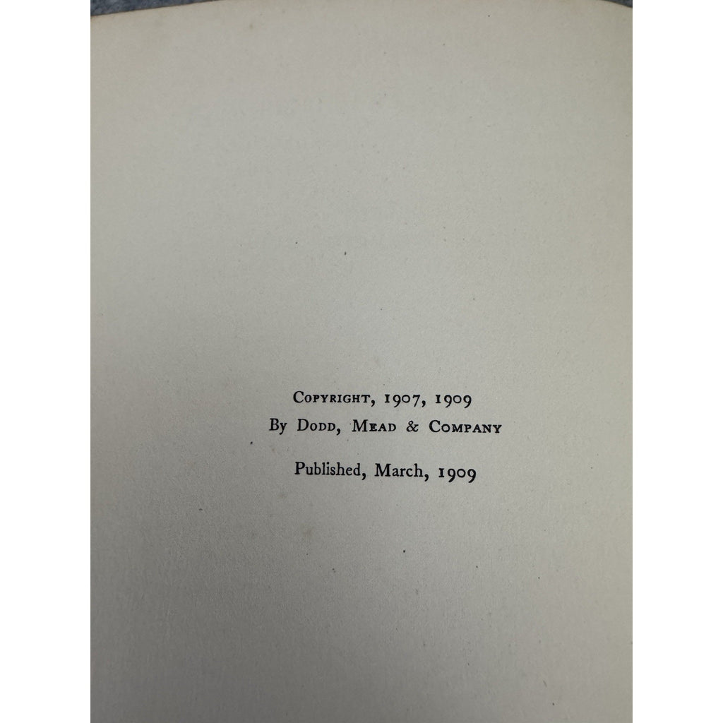 1909 The Blue Bird Maurice Maeterlinck First Edition Hardcover Dodd Mead