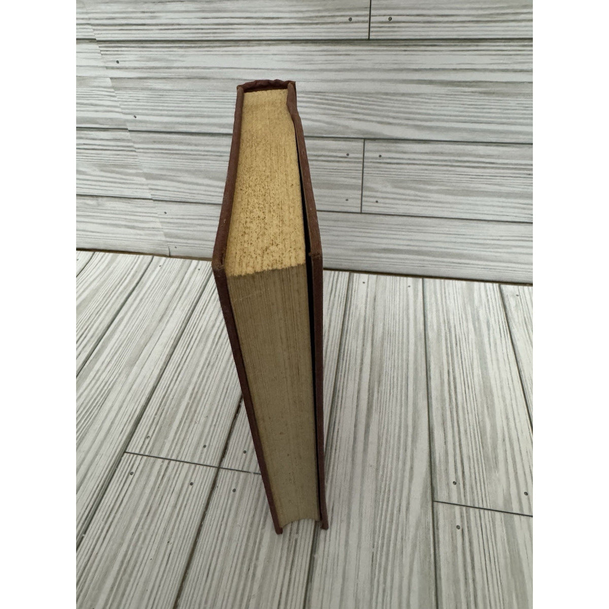A Crown of Fire Pierre Van Paassen 1961 HC Savonarola Biography