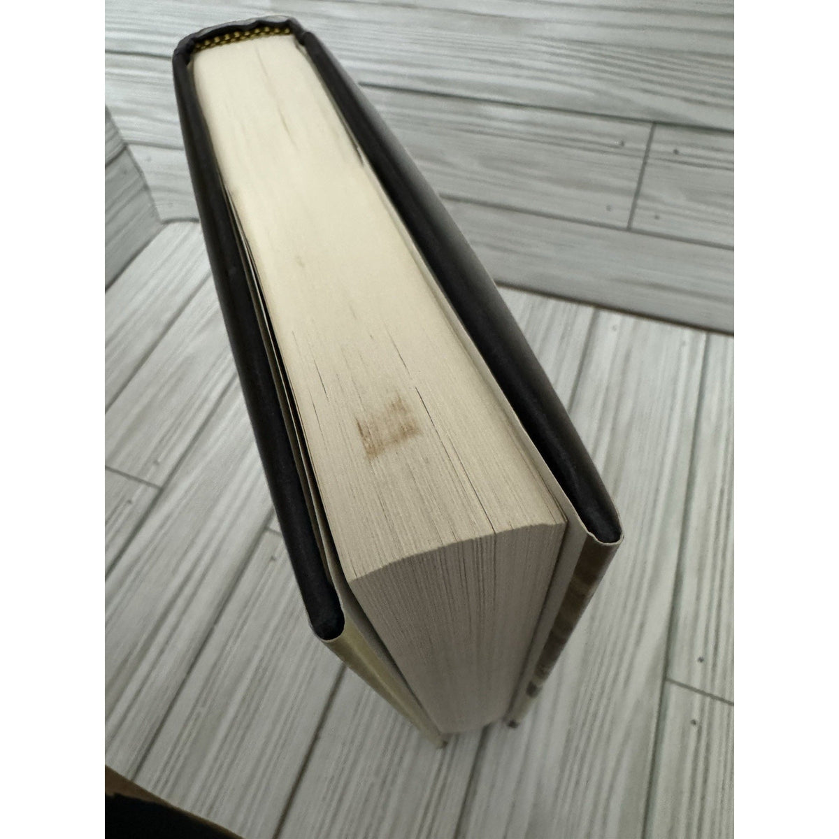 The Lemon Tree Sandy Tolan 1st Edition HC 2006 Bloomsbury VG