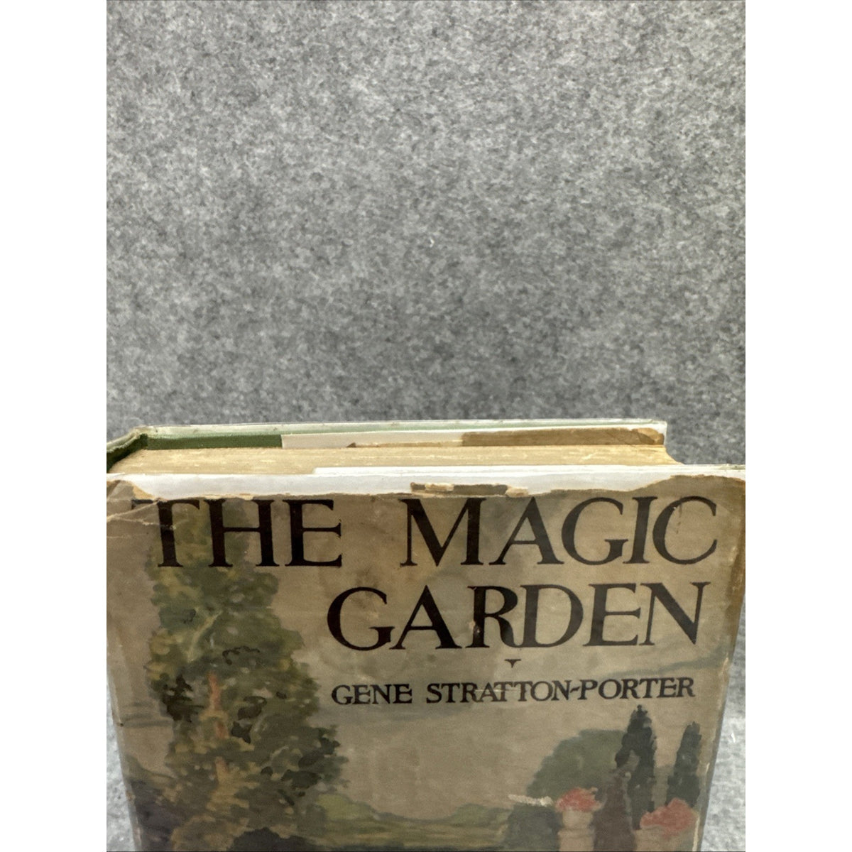 The Magic Garden by Gene Stratton-Porter 1927 HCDJ First Edition
