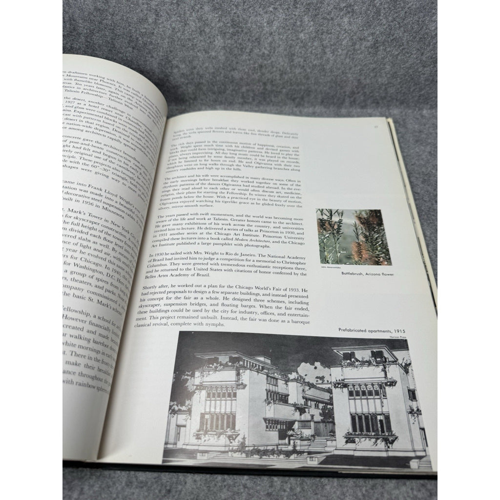 1962 Frank Lloyd Wright Architecture First Edition Illustrated Hardcover DJ