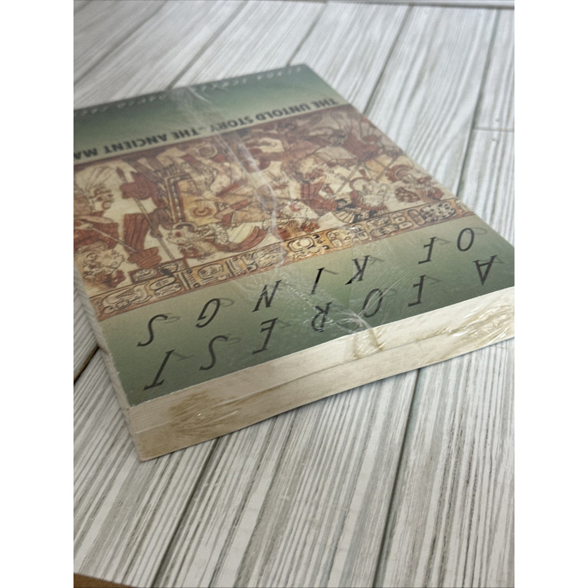 Forest of Kings : The Untold Story of the Ancient Maya by David Freidel and...