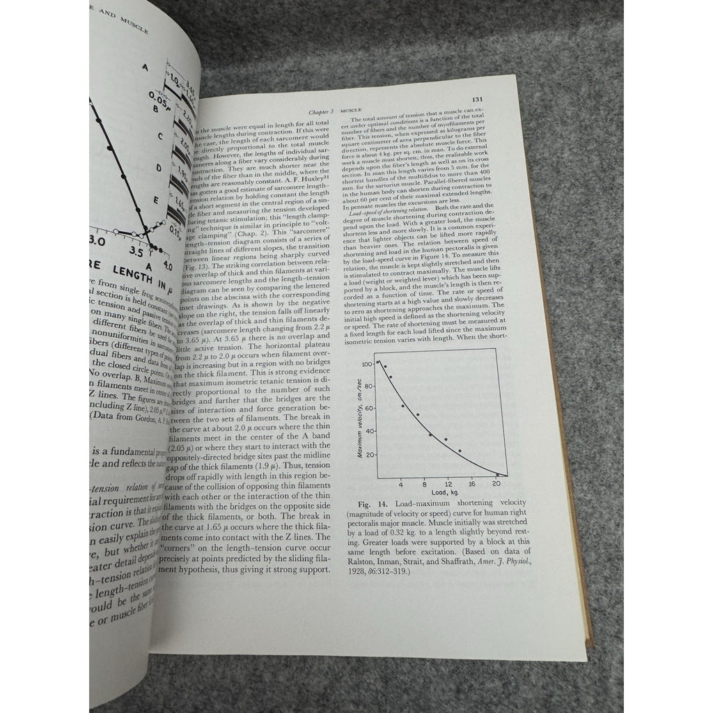 1965 Neurophysiology 2nd Edition Ruch Patton Woodbury Towe HC Medical