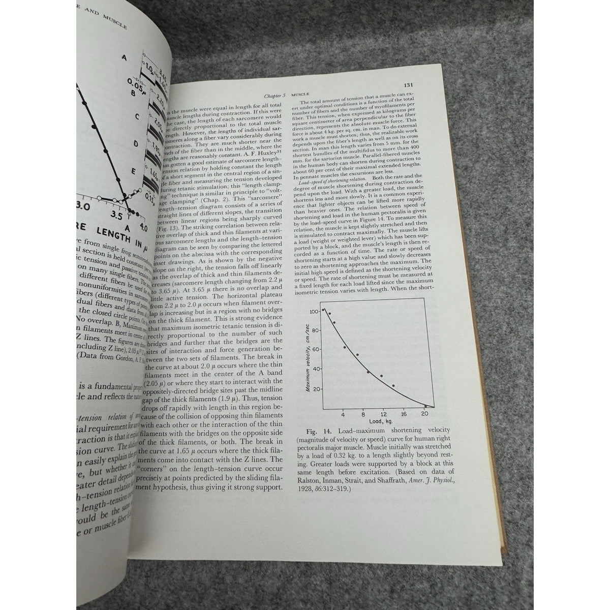 1965 Neurophysiology 2nd Edition Ruch Patton Woodbury Towe HC Medical