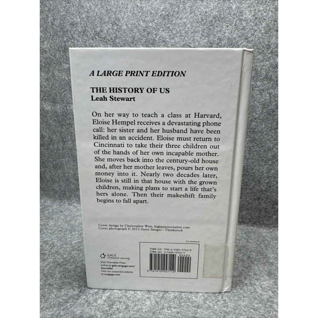 History of Us by Leah Stewart (2013, Hardcover)