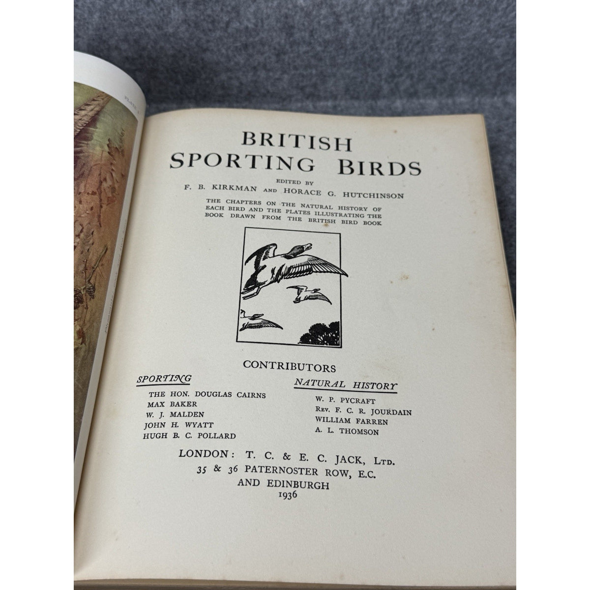 British Sporting Birds Kirkman Hutchinson 1936 Illustrated Hunting Hardcover
