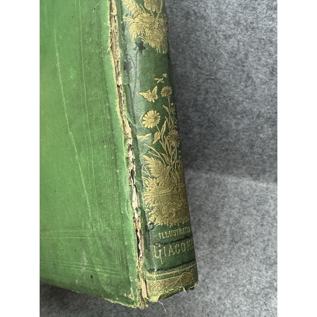 1875 The Insect Jules Michelet First English Edition Giacomelli Illustrated HC