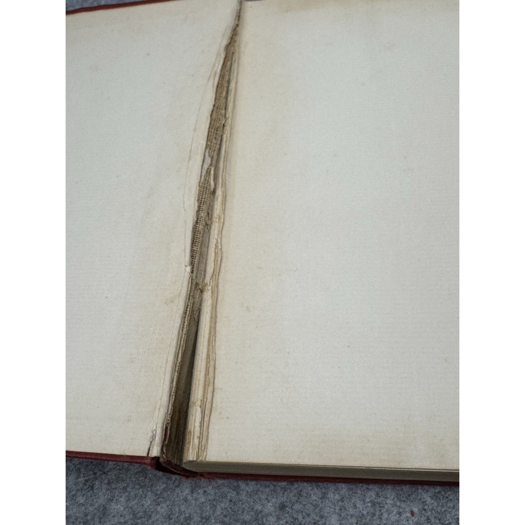 Elsie Venner A Romance of Destiny Oliver Wendell Holmes Riverside Vol V 1890s