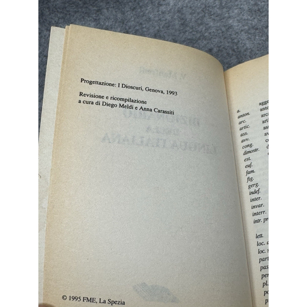 1995 V Manfredi Dizionario Della Lingua Italiana Italian Dictionary SEI