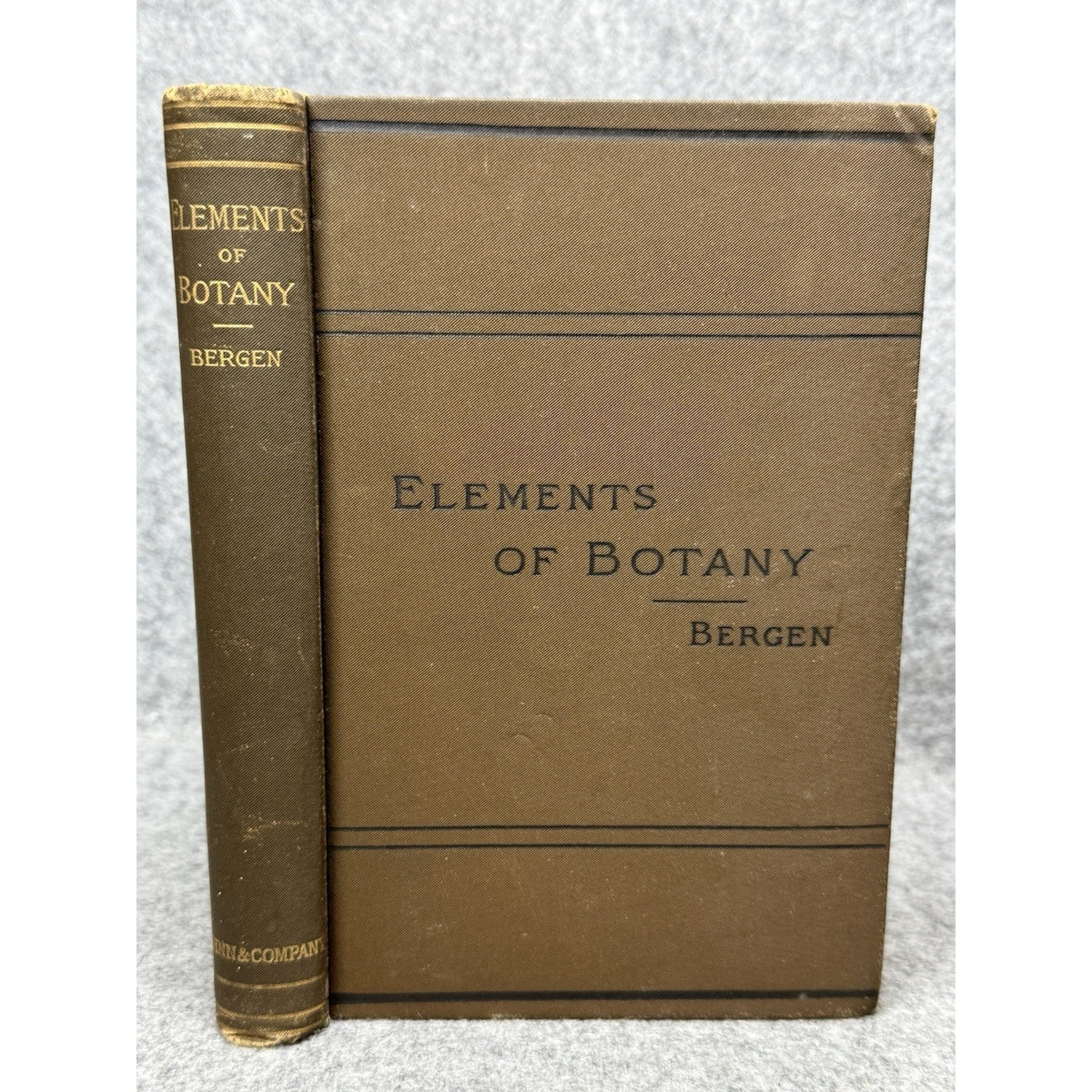 1896 Elements of Botany J Y Bergen Illustrated Antique Plants Science Hardcover