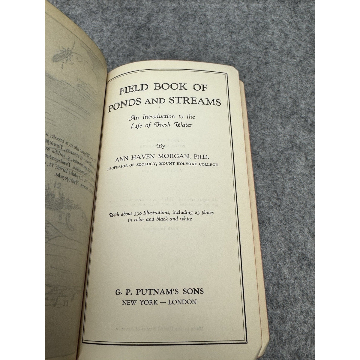 1930 Field Book of Ponds and Streams Ann Haven Morgan Illustrated Hardcover