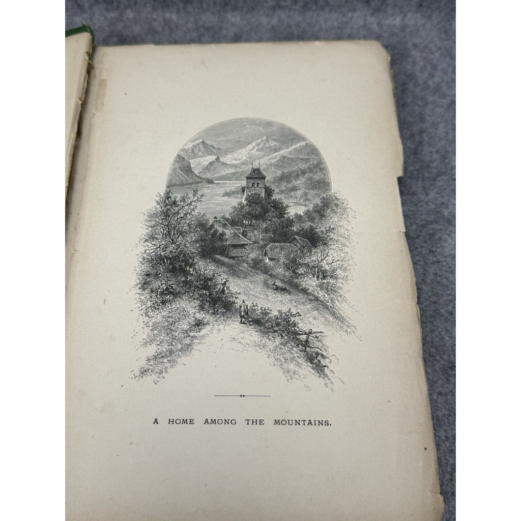 1875 The Insect Jules Michelet First English Edition Giacomelli Illustrated HC