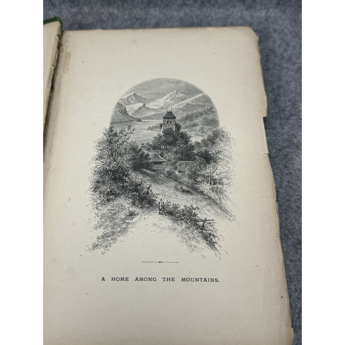 1875 The Insect Jules Michelet First English Edition Giacomelli Illustrated HC