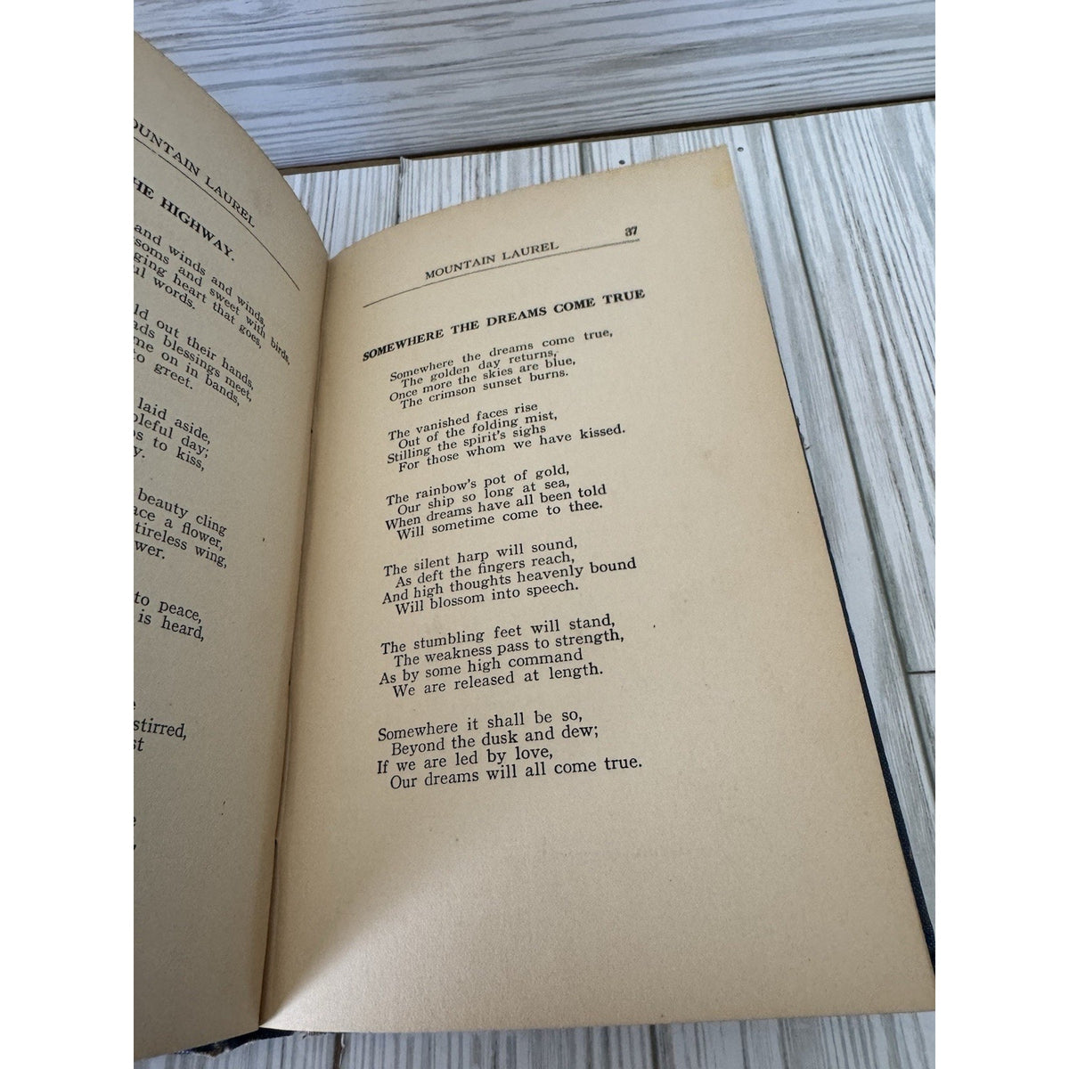 Mountain Laurel and Other Poems W Lomax Childress 1924 HC