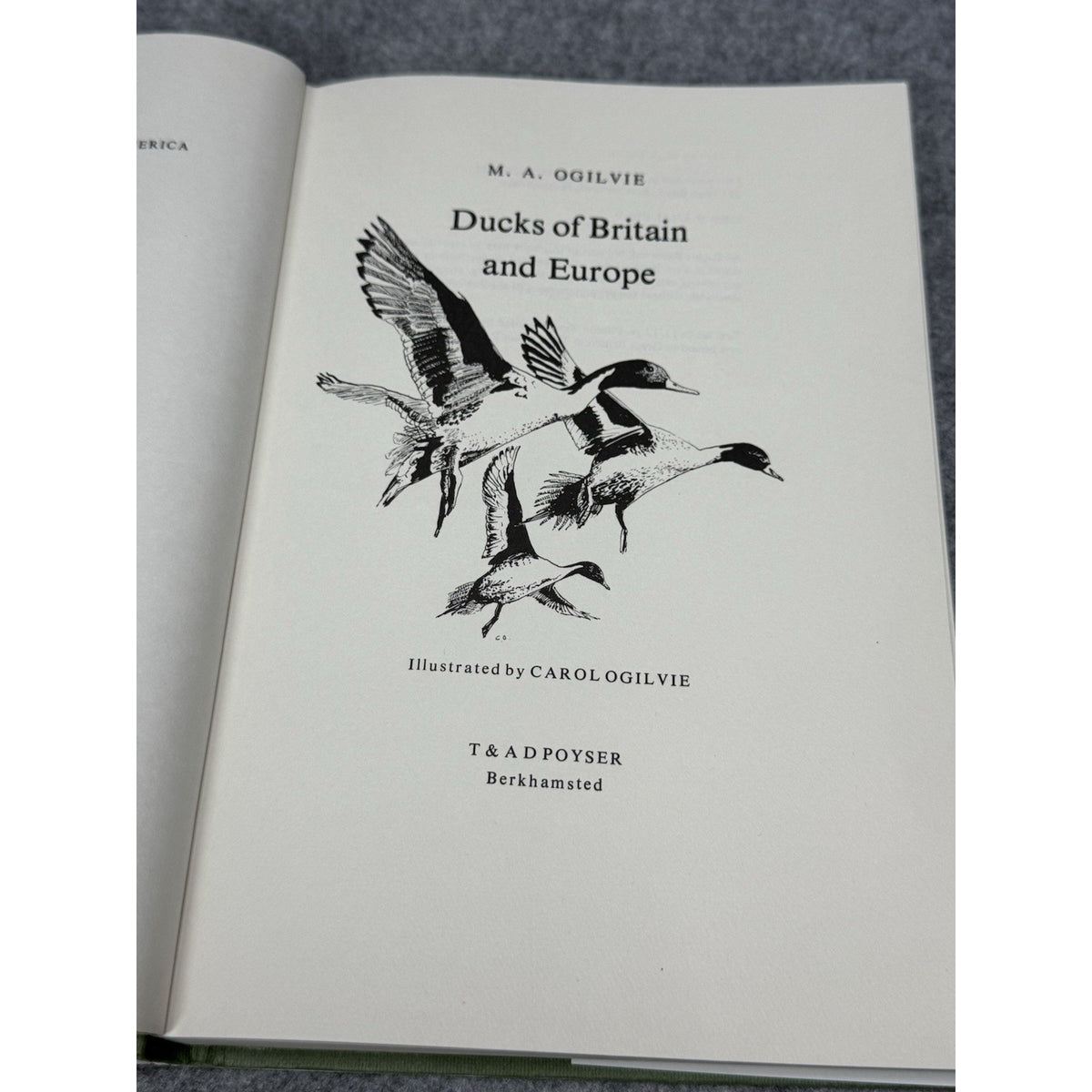 Ducks of Britain and Europe M.A. Ogilvie 1975 1st Edition HC DJ Illustrated