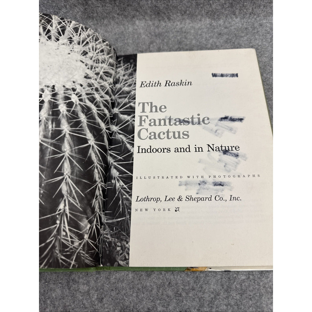 The Fantastic Cactus, Indoors and in Nature by Edith Raskin - Hardcover
