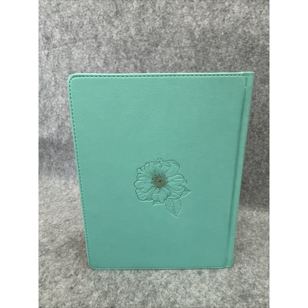 KJV Holy Bible, My Promise Bible, Faux Leather Hardcover w/Bible Tabs, Color...