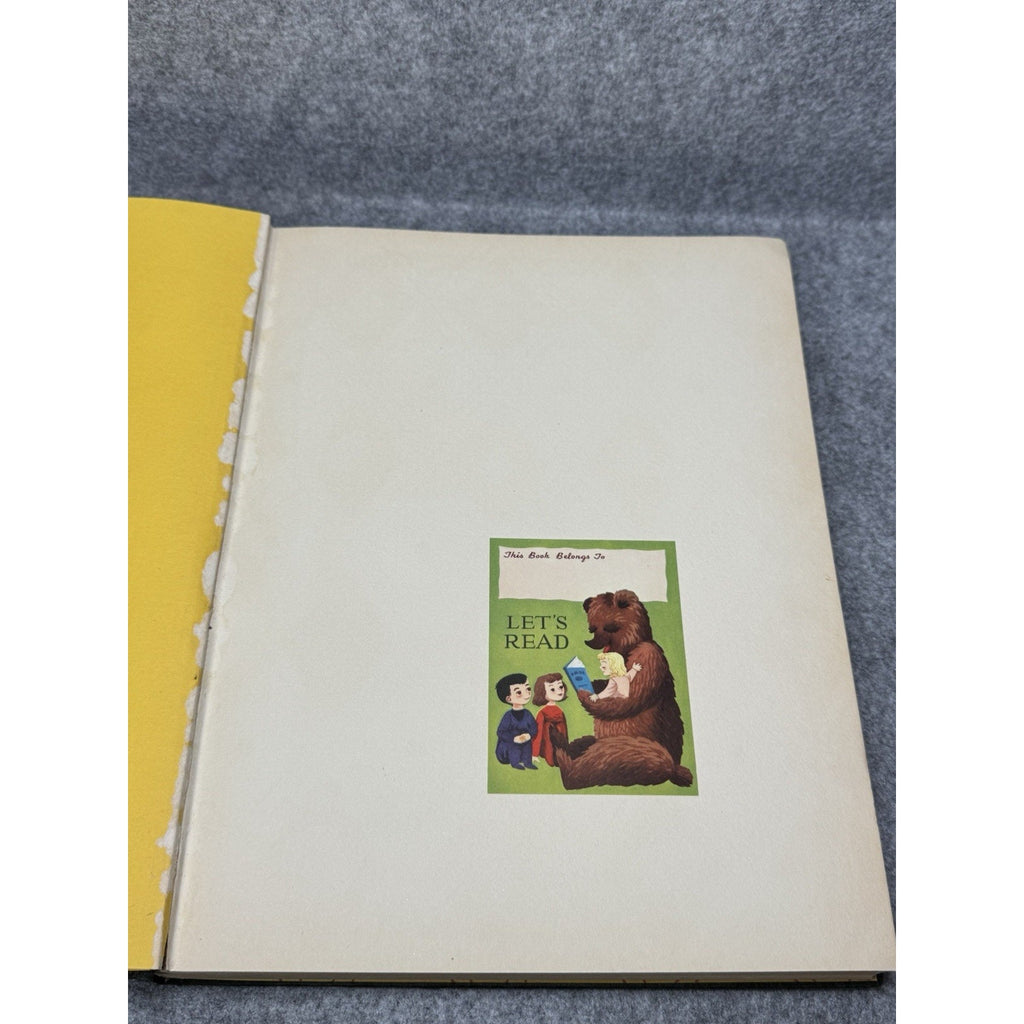 Dickey Byrd Elizabeth Woodruff 1928 First Edition Gustaf Tenggren Illustrated