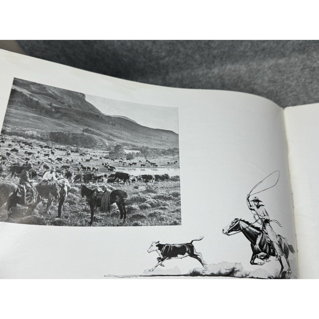 1936 Montana The New Trail Highway Report & Travel Brochure Irvin Shope Art