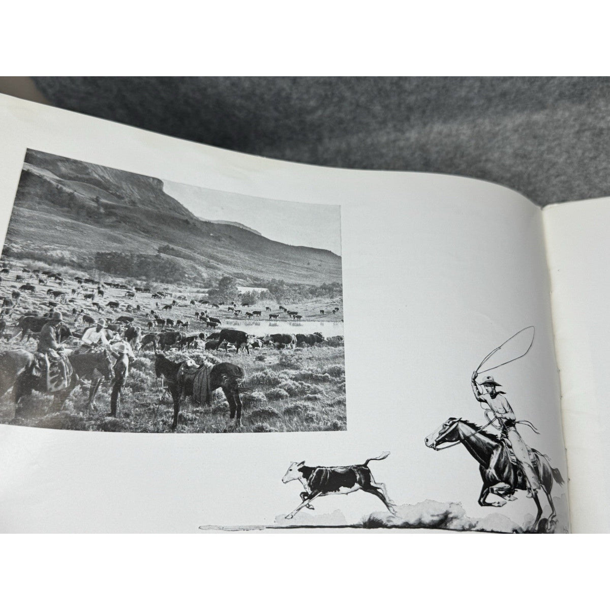 1936 Montana The New Trail Highway Report & Travel Brochure Irvin Shope Art