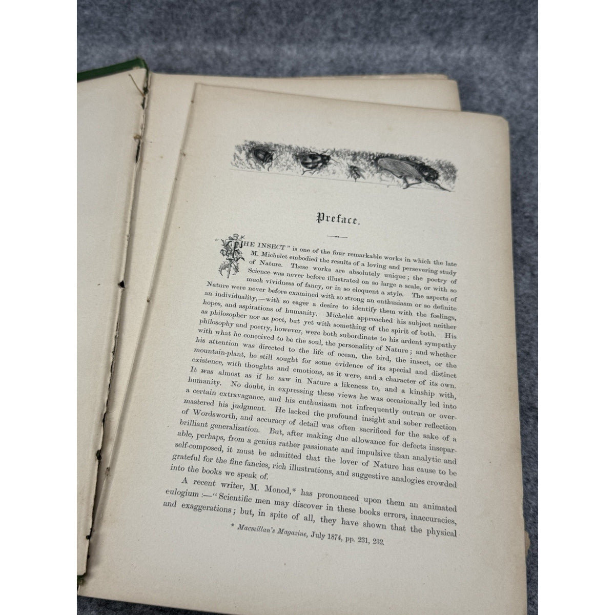 1875 The Insect Jules Michelet First English Edition Giacomelli Illustrated HC