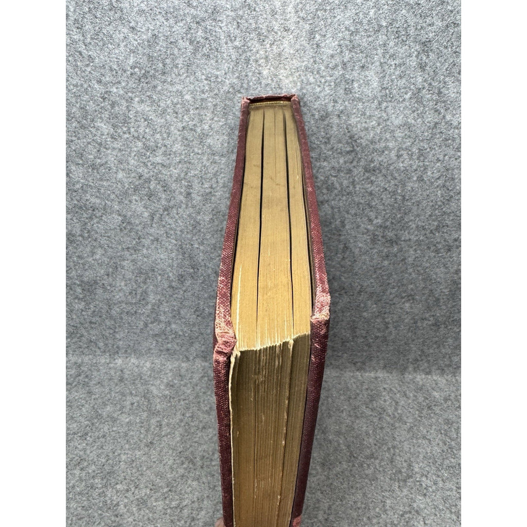 1907 Pennsylvania State Government in Picture and Story Rodearmel Illustrated