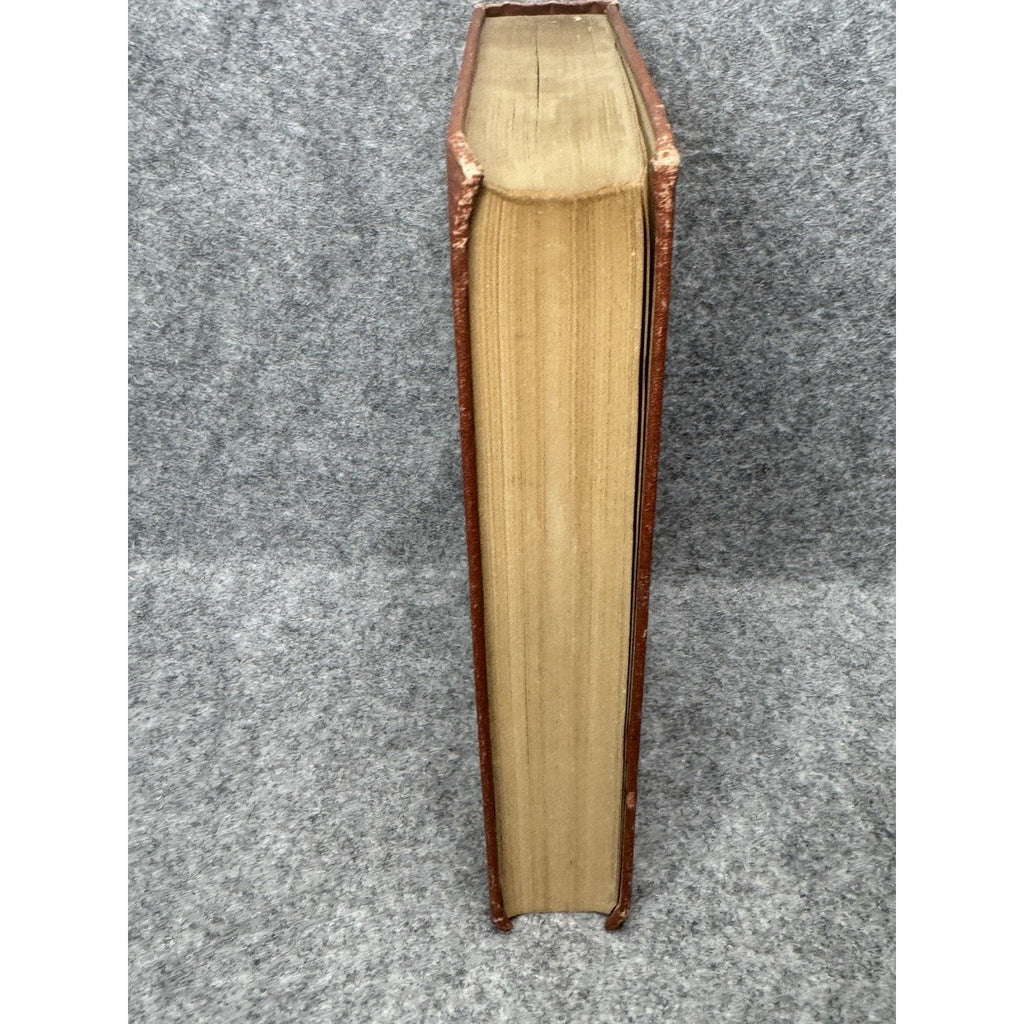 1913 Life of the Fly J Henri Fabre First American Edition Hardcover Gilt Top