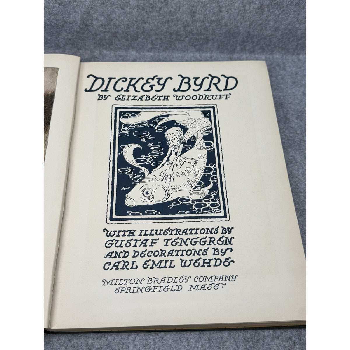 Dickey Byrd Elizabeth Woodruff 1928 First Edition Gustaf Tenggren Illustrated