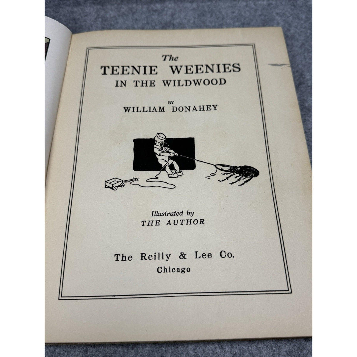 The Teenie Weenies in the Wildwood William Donahey 1923 Illustrated HC
