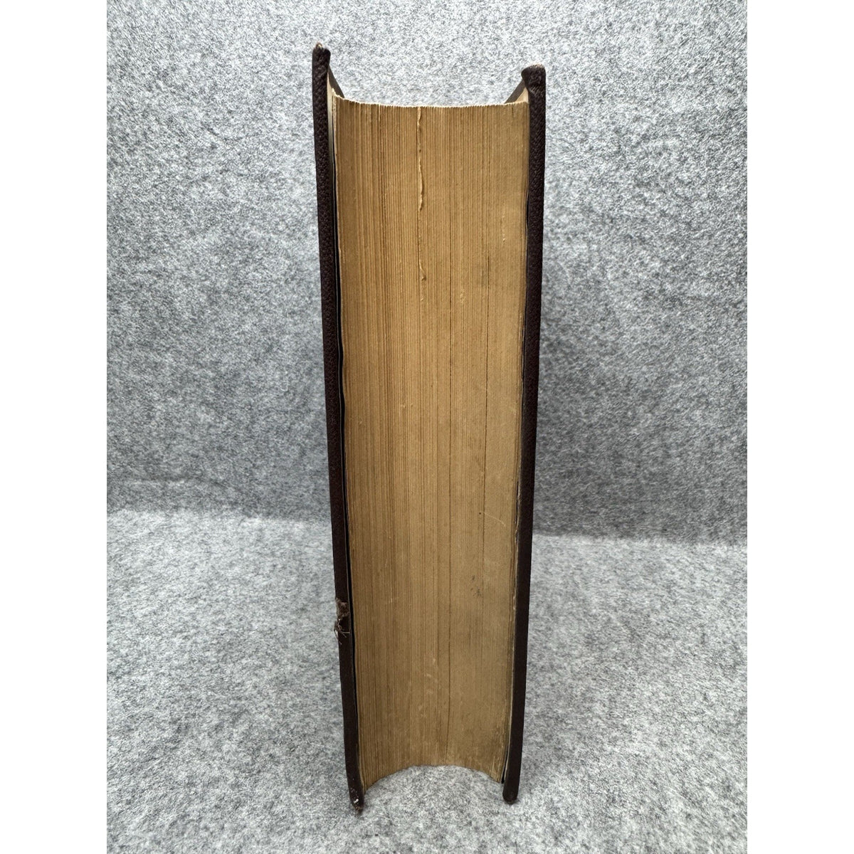 1884 New Testament Authorized Revised Versions Howard Crosby Commentary