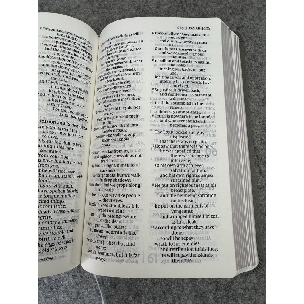 NIV Personal Size Giant Print Bible Gray Leathersoft Zondervan 2022