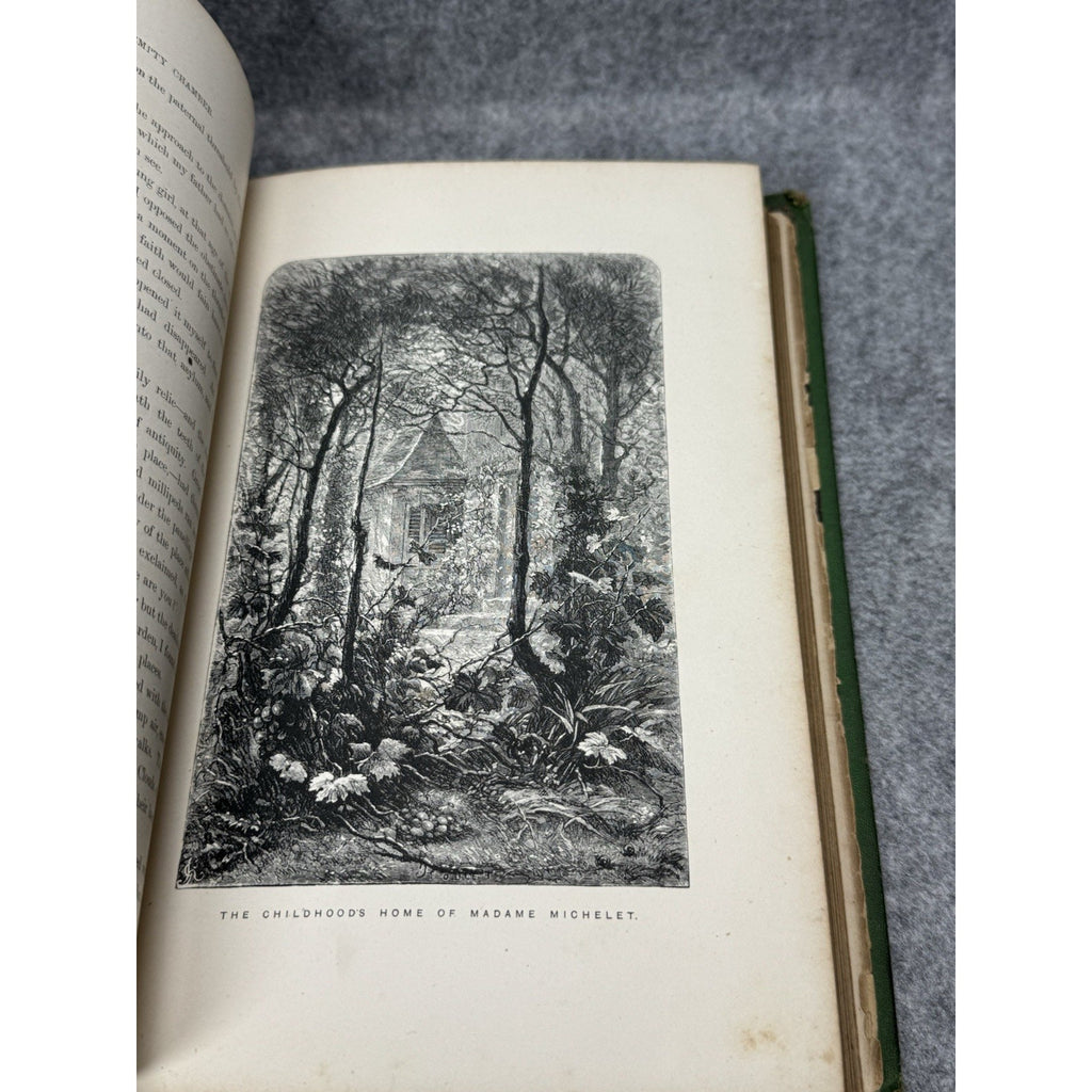 1875 The Insect Jules Michelet First English Edition Giacomelli Illustrated HC