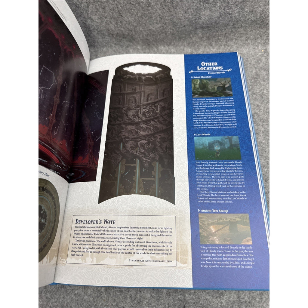 Legend of Zelda: Breath of the Wild-Creating a Champion Hero's Edition BOOK ONLY