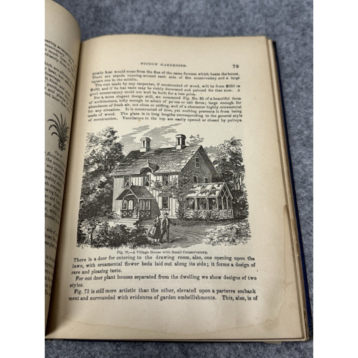 1877 Window Gardening Henry T Williams Illustrated Victorian Plants Hardcover
