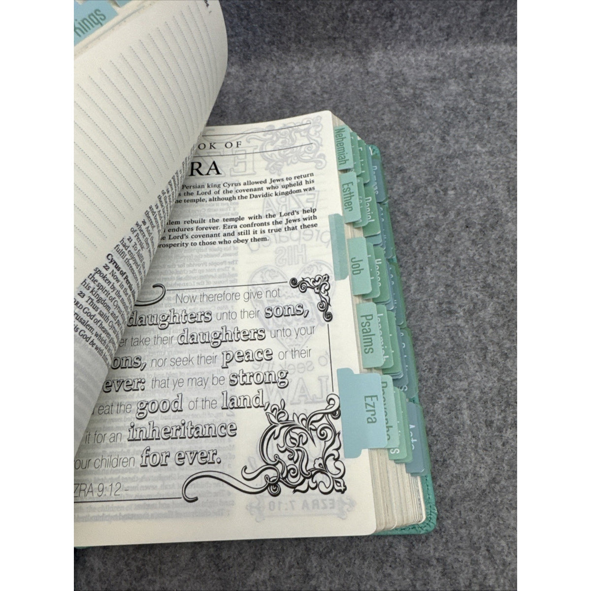 KJV Holy Bible, My Promise Bible, Faux Leather Hardcover w/Bible Tabs, Color...