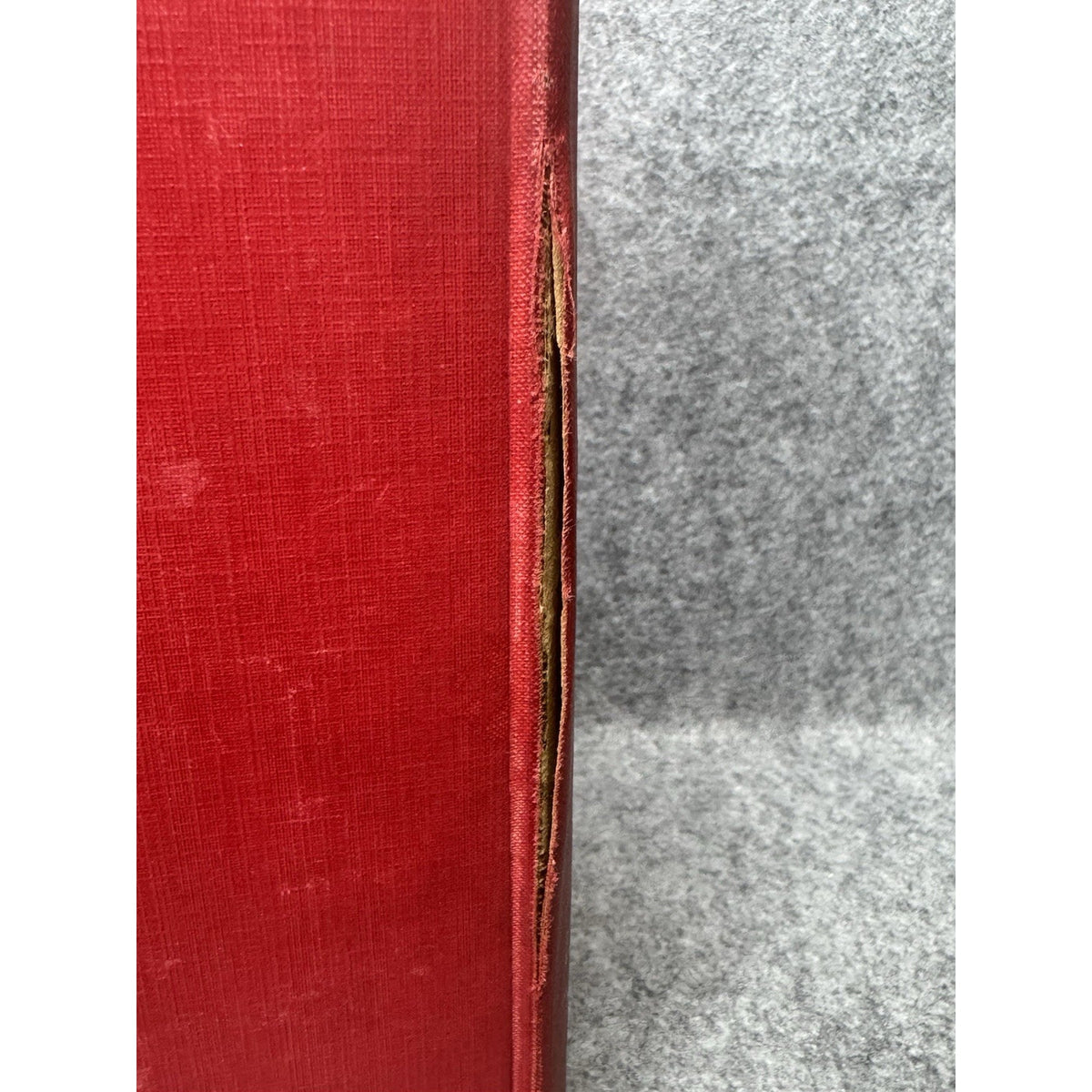 1928 Creation by Evolution Frances Mason First Edition Illustrated Hardcover