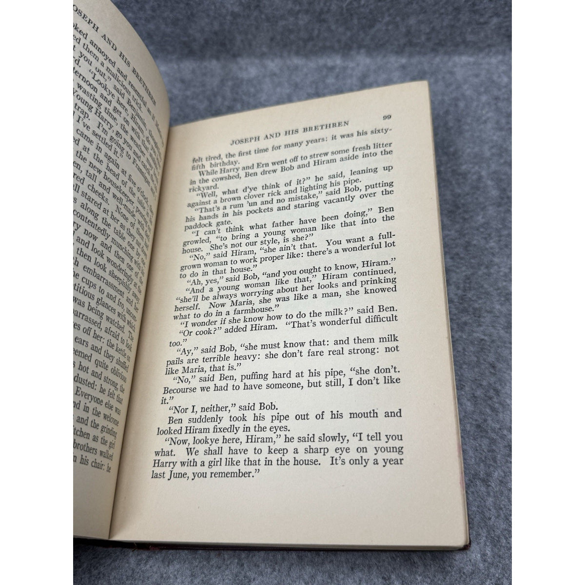1929 Joseph and His Brethren H.W. Freeman 1st Ed Rural English Farm Novel