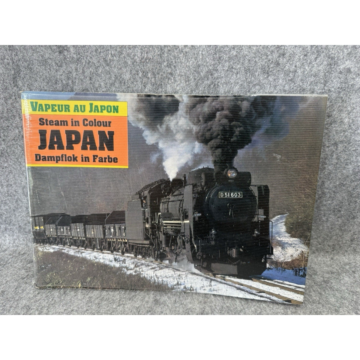 Steam In Colour Japan Japanese Steam Locomotives Railroad Photo Book PB