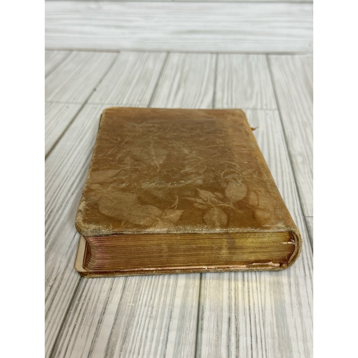 The Poetical Works of Robert Burns Antique Leather HC Hurst & Co