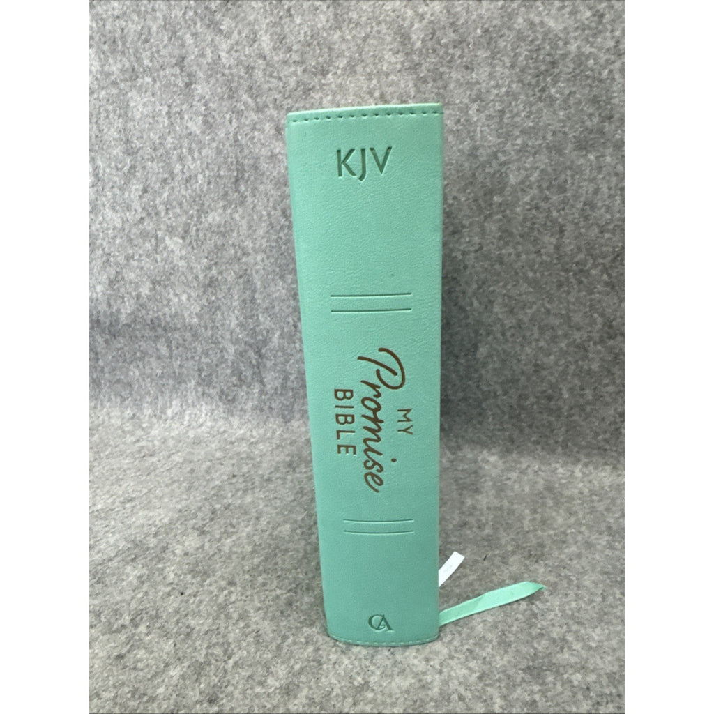 KJV Holy Bible, My Promise Bible, Faux Leather Hardcover w/Bible Tabs, Color...