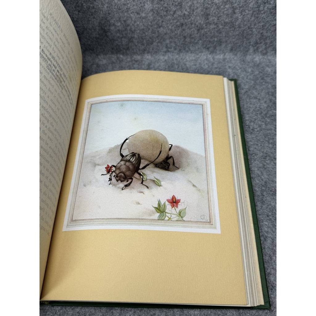 1935 Fabre’s Book of Insects E J Detmold Color Plates Gilt Hardcover Tudor