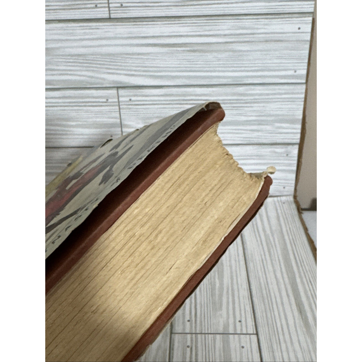 The Earth is the Lord's by Taylor Caldwell 1940 Hardcover with Dust Jacket