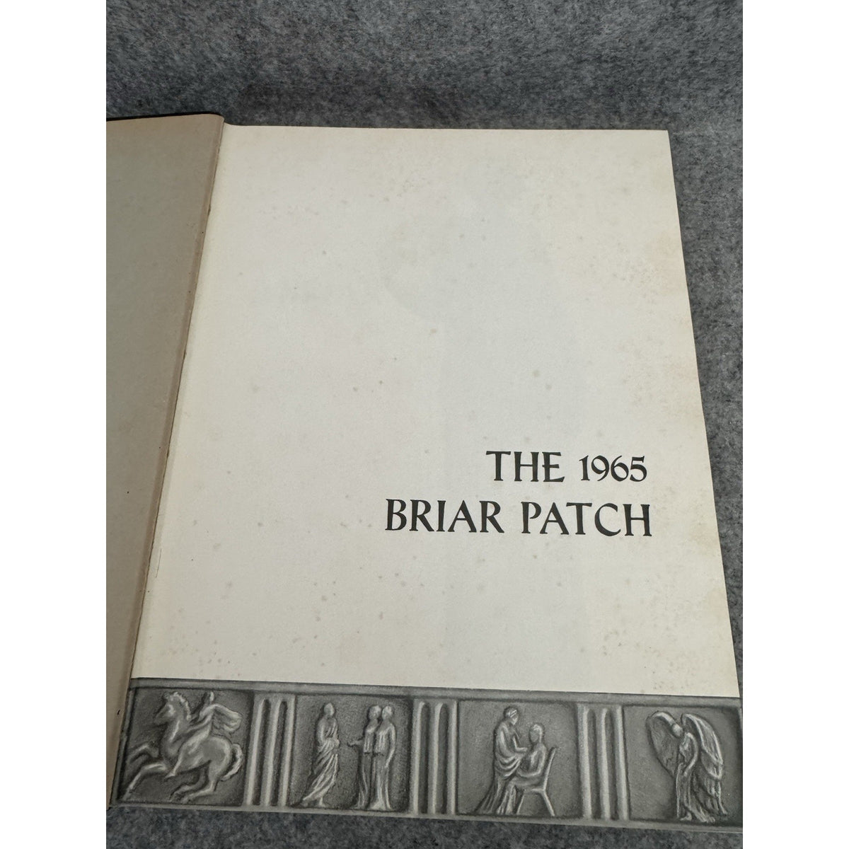 1965 Briar Patch Sweet Briar College Yearbook Hardcover Virginia Annual