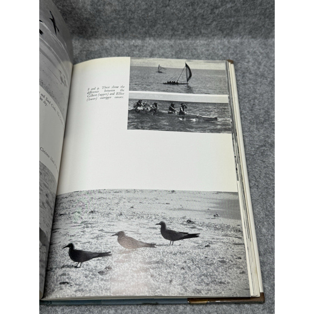 1962 Seabirds Southern Waters Prince Philip First Edition Royal Yacht Birds