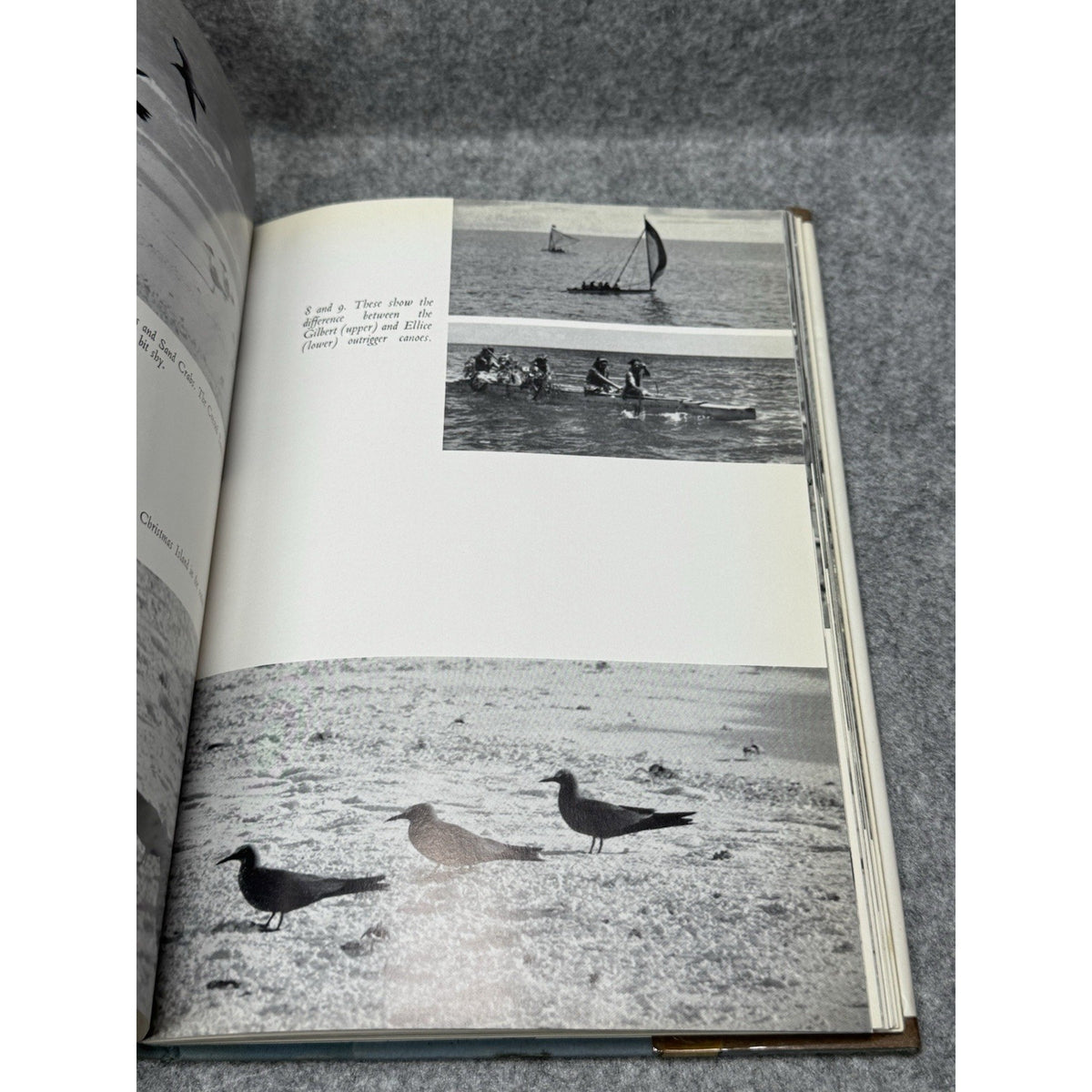 1962 Seabirds Southern Waters Prince Philip First Edition Royal Yacht Birds