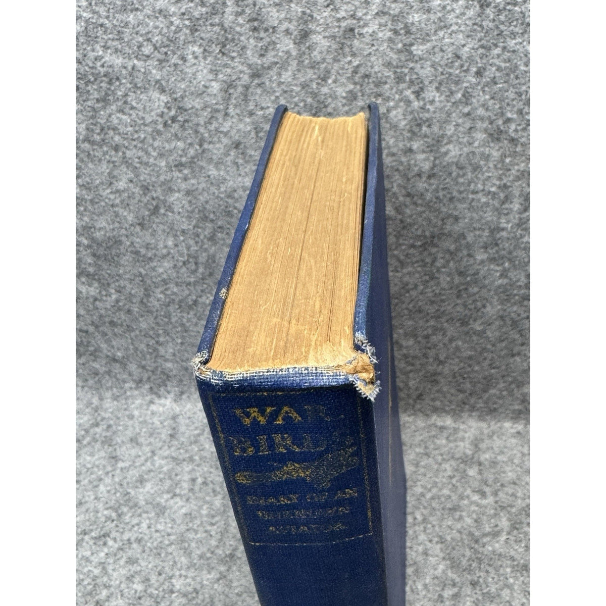 1926 War Birds Diary Unknown Aviator WWI Fighter Pilot Clayton Knight HC