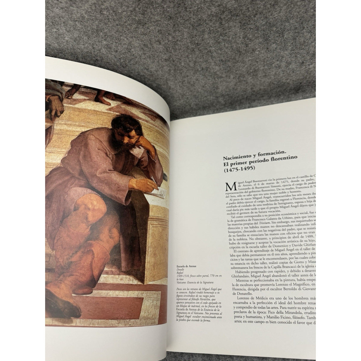 Miguel Angel Michelangelo Genios De La Pintura Spanish PB Susaeta Art