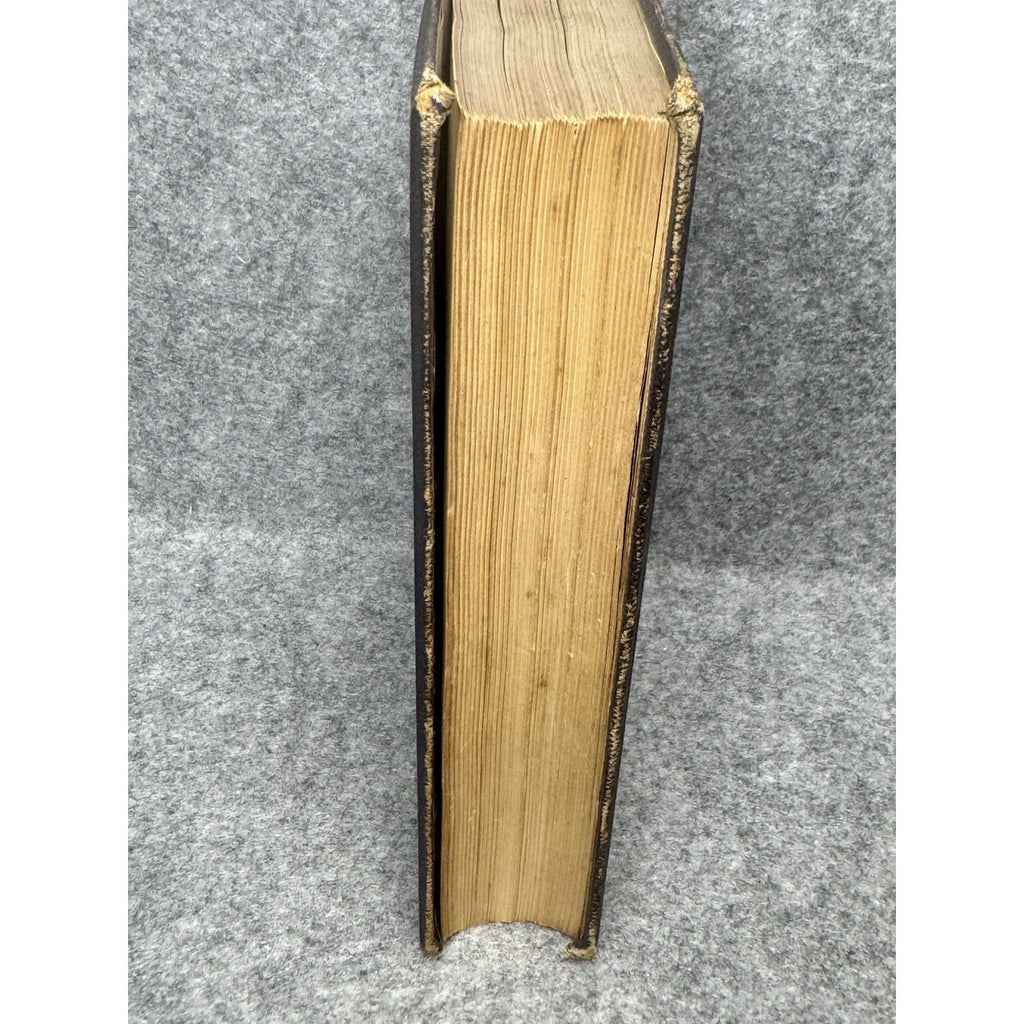 c.1872 The Insect World Louis Figuier 579 Illustrations Antique Gilt Hardcover